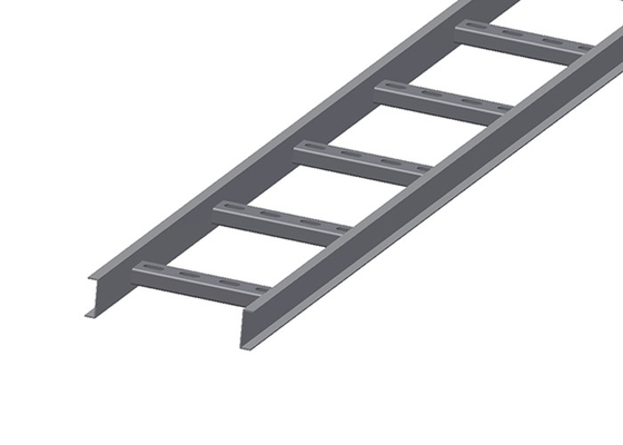 NEMA 20B HDG Cable Ladder SS304 Ladder Type Cable Tray 3m